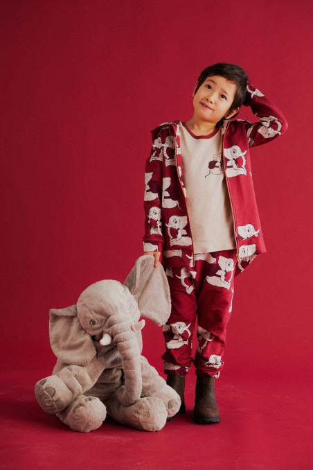 SŁONIK BORDO SPODNIE