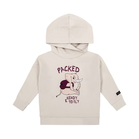 ELLIE PULLOVER HOODIE