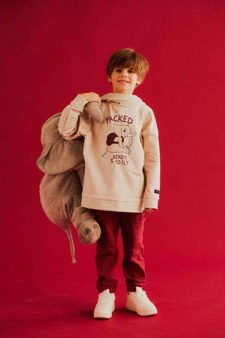 ELLIE PULLOVER HOODIE