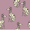 BA1F_2_DALMATIAN PINK