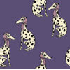 BA1F_1_DALMATIAN PLUM